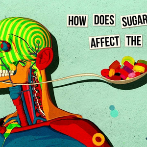 How Sugar Affects The Brain Nicole Avena Video Upcarta How Sugar Affects The Brain Nicole Avena Video Upcarta